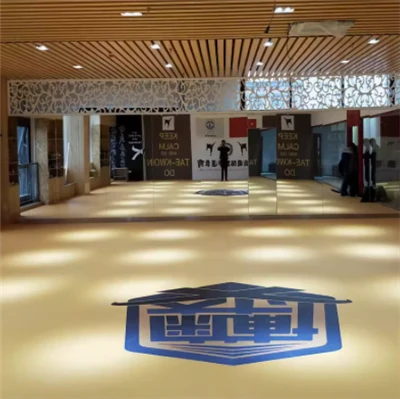 XPE-mat voor boksen Jodo MMA