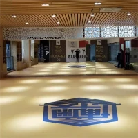 XPE-mat voor boksen Jodo MMA